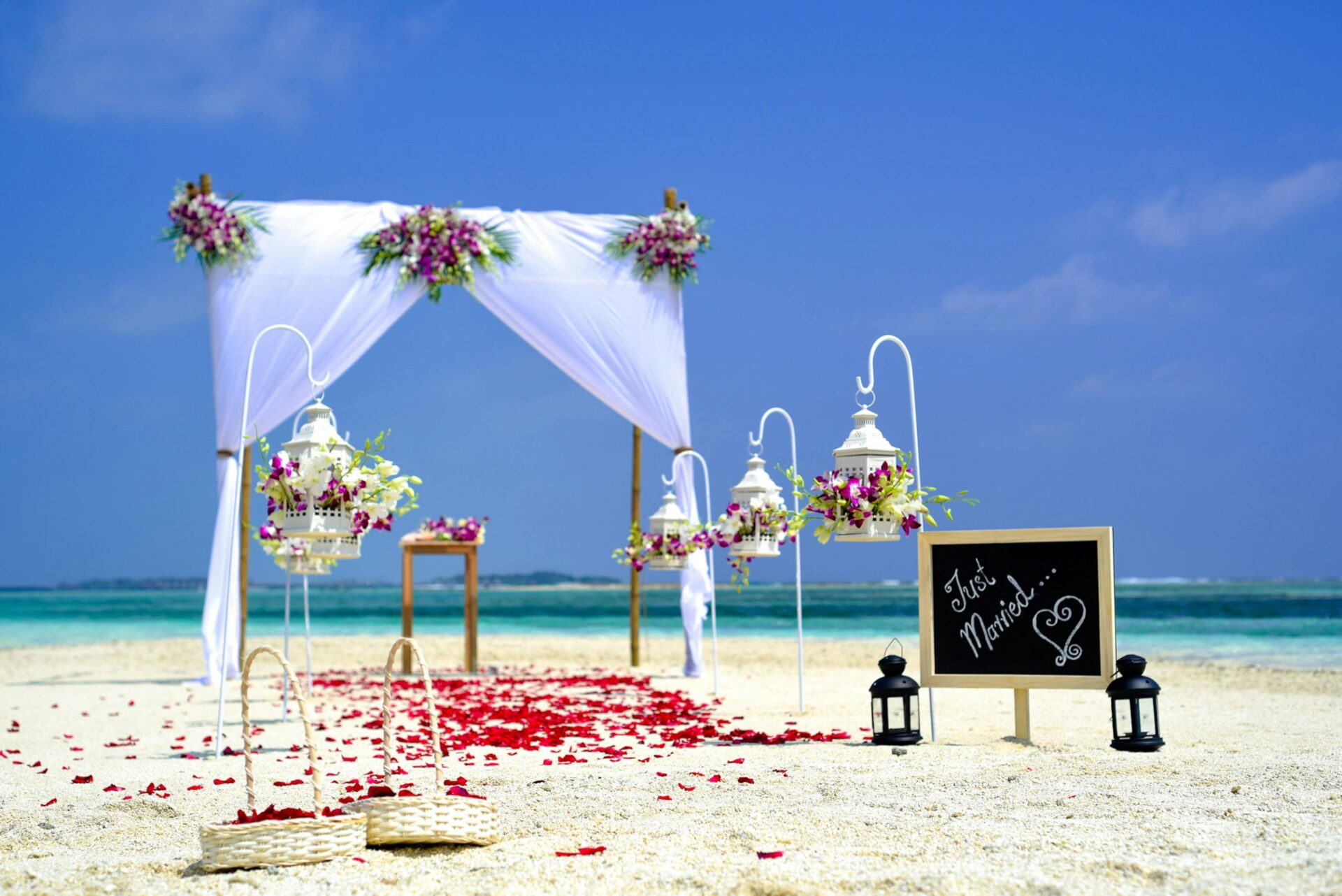 A beach with flowers and a sign on it